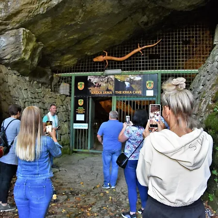 5ka Family Near Ljubljana A2 Access Waterbed Cafe Free Parking *