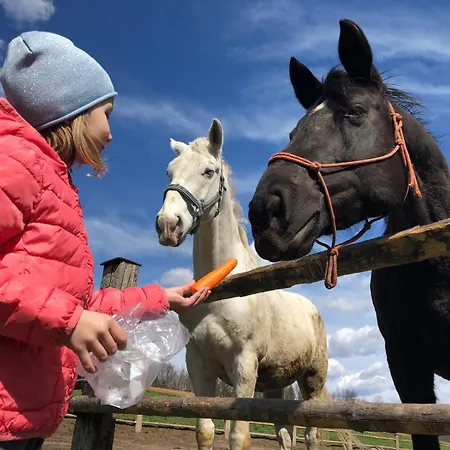 Appartement 5ka Family Near Ljubljana A2 Access Waterbed Cafe Free Parking *