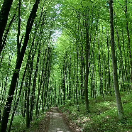 5ka Family Near Ljubljana A2 Access Waterbed Cafe Free Parking * Velika Loka