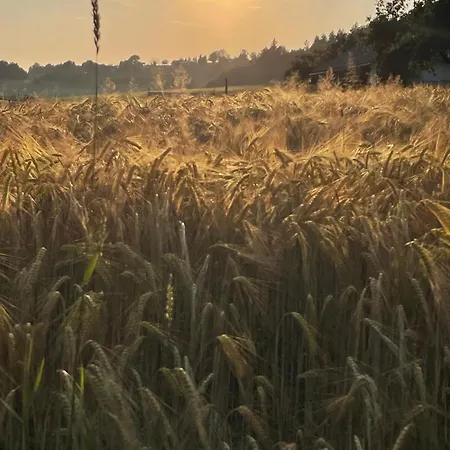 5ka Family Near Ljubljana A2 Access Waterbed Cafe Free Parking Velika Loka