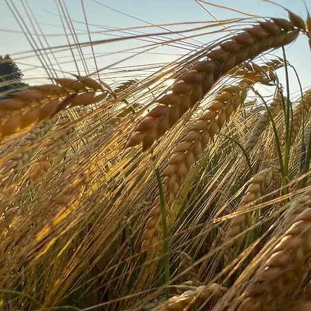 5Ka Family Apartments Waterbeds Near Ljubljana A2 * Velika Loka