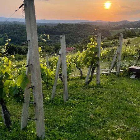 5ka Family Near Ljubljana A2 Access Waterbed Cafe Free Parking Appartamento