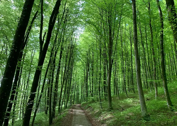 5ka Family Waterbeds Near Ljubljana A2 * Velika Loka