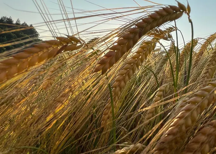 5ka Family Waterbeds Near Ljubljana A2 * Velika Loka