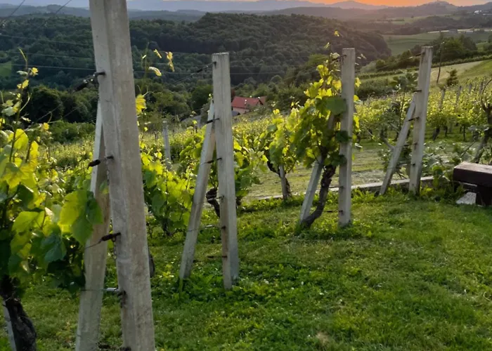 5ka Family Waterbeds Near Ljubljana A2 Διαμέρισμα